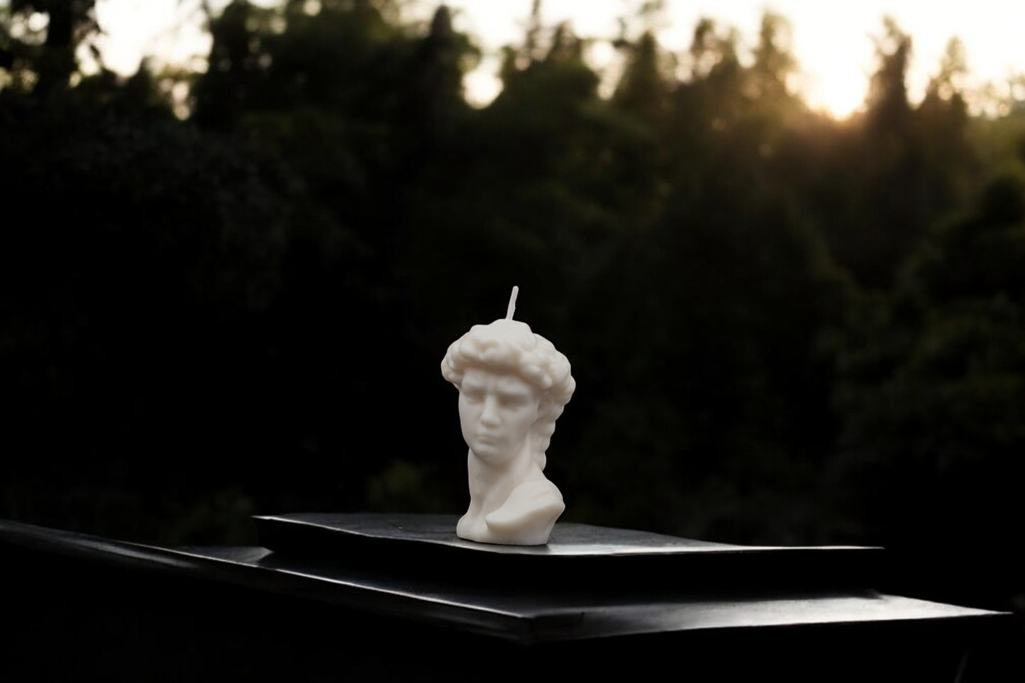 David's Head - Candle