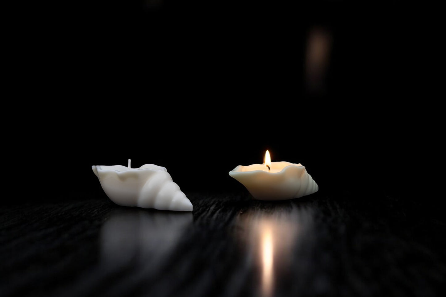 Serene Shell